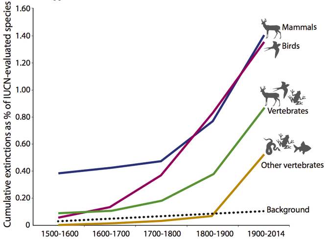 Cumulative extinction rates. Source: The Conservation